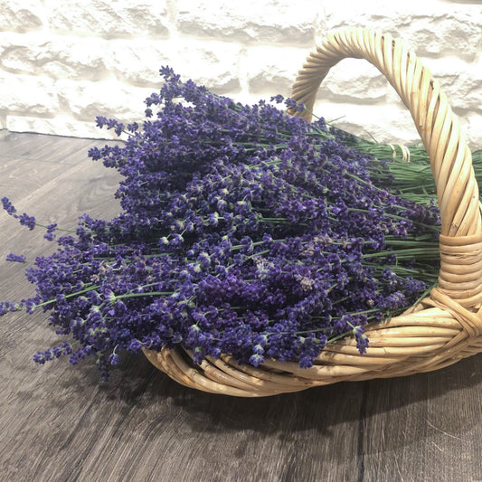 Fresh lavender bundle -local pickup only