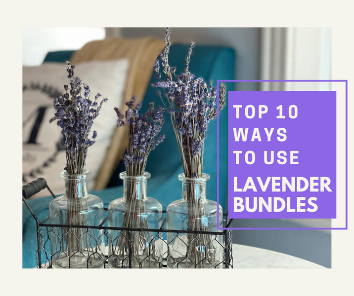 Top 10 Uses for Fresh and Dried Lavender
