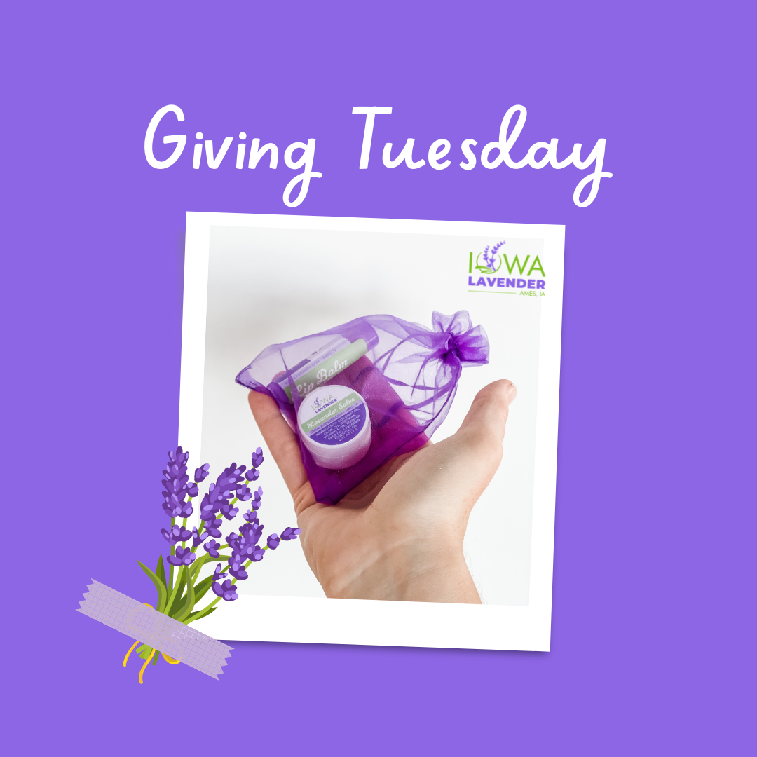 GIVING TUESDAY EXTENDED: Help Us Give To Local Teachers