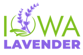 Iowa Lavender