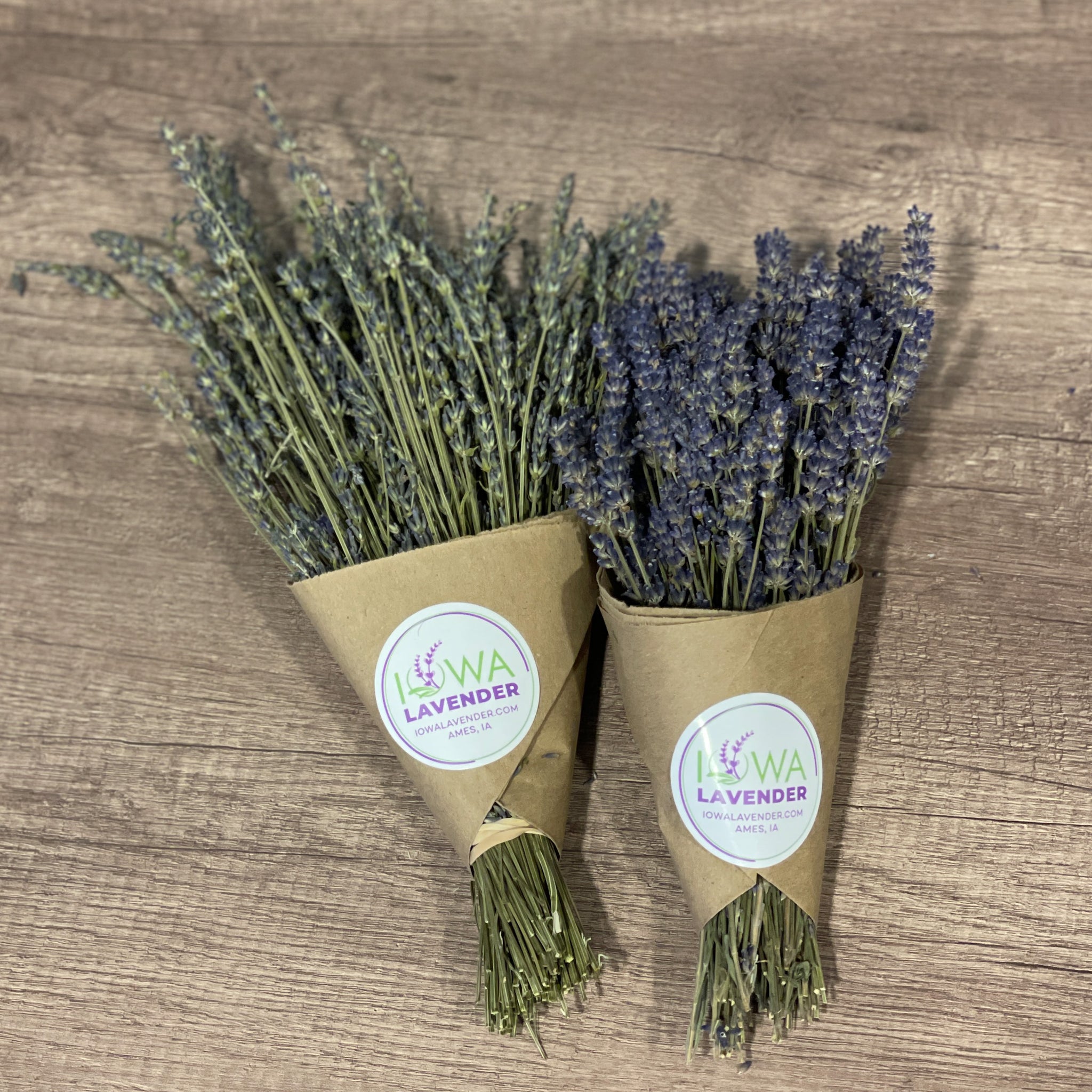 Dried lavender bundle -local pickup only