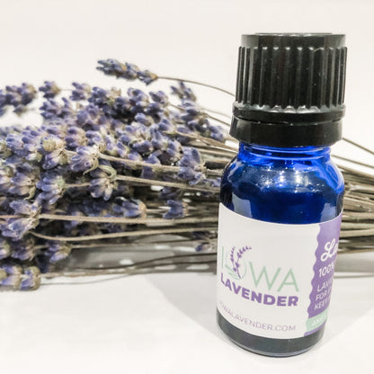 Lavender Essential Oil.