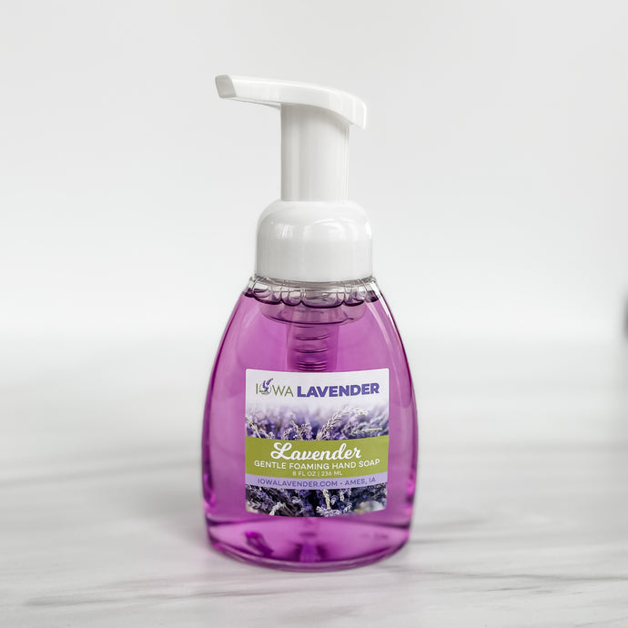 Lavender Gentle Foaming Hand Soap